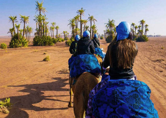 Sunset Camel Ride in the Palm Grove of Marrakech