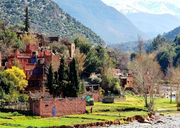 Full Day Trip to Ourika Valley From Marrakech